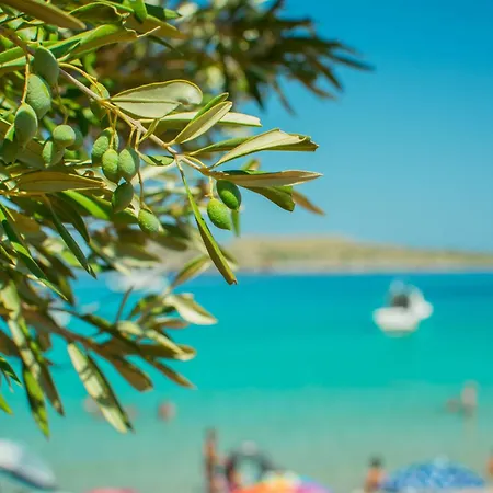 Luxury - Affittimoderni * Marzamemi